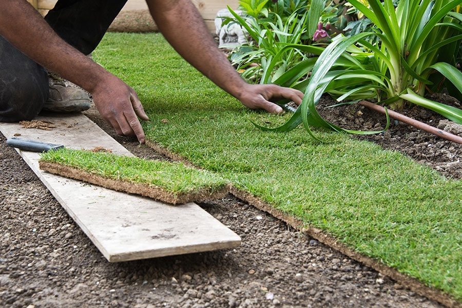 Gazon rouleaux – Royal Garden – Livraison et plantation gazon rouleaux.